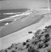 פלמחים 1953-6