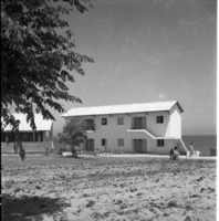 פלמחים 1953-6