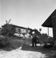 נתיב הל"ה 1954