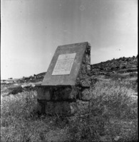 נתיב הל"ה 1954