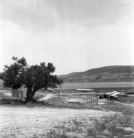 נתיב הל"ה 1954