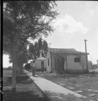קיבוץ חוקוק 1954