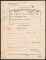 Applicant: Herz, Lea; born 15.12.1897 in Ustrzyki Dolne (Poland); single.