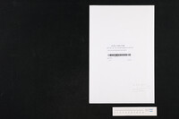 Lettre du prince de Léon à son cousin.