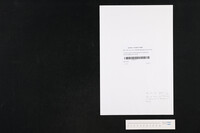 Lettre du baron de Préchamps au colonel du 8eme chasseurs à cheval.