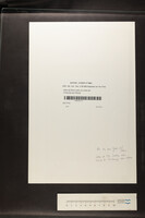 lettre de Mme Ledru au maire de Fontenay-aux-Roses.