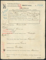 Applicant: Schmergel Schmajuk, Josef; born 28.5.1882 in Podwoloczyska (Ukraine); married.