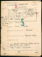 Applicant: Kostiner, Regine; born 15.7.1896 in Novi Pazar (Serbia); married.
