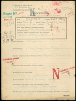 Applicant: Kowarik, Olga Sara; born 28.3.1894 in Prague (Czech Republic); separated.