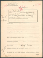 Applicant: Meisels, Frieda; born 31.10.1869 in Nadvirna (Ukraine); married.
