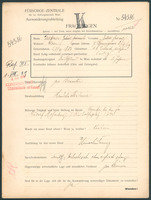 Applicant: Meissner, Julius Israel; born 27.11.1880 in Třešt̕ (Czech Republic); single.