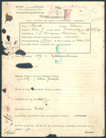 Applicant: Meisels, Salomon; born 3.11.1883 in Nadworna (Ukraine); married.