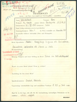 Applicant: Schenkelbach, Leon; born 22.12.1888 in Luka; no status registered.