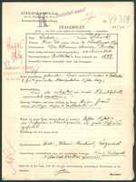 Applicant: Schick, Julius; born 25.12.1878 in Senica (Slovakia); married.