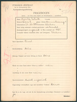 Applicant: Schik, Moritz; born 24.11.1894 in Waitzen (Hungary); married.