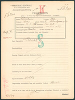Applicant: Neumann, Ida; born 22.2.1884 in Nové Město (Bratislava, Slovakia); married.
