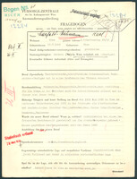 Applicant: Marfeld-neumann, Karl; born 19.3.1885 in Vienna (Austria); divorced.