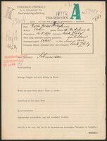Applicant: Nutyk, Esra Israel; born 14.5.1893 in Polok Zloty; divorced.