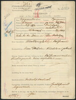 Applicant: Oppenheim, Benjamin; born 10.5.1890 in Drohobycz; married.