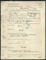 Applicant: Schuler, Heinrich; born 23.1.1888 in Bursztyn; married.