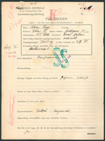 Applicant: Porges, Helene; born 19.1.1886 in Třešt̕ (Czech Republic); married.