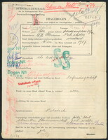 Applicant: Mingelgrün, Rosa; born 17.9.1884 in Neusawter; widowed.