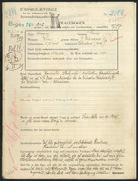 Applicant: Schwarz, Schabsa; born 15.5.1904 in Czernelica (Ukraine); married.