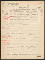 Applicant: Schwarz, Lea; born 4.6.1876 in Neu Sandez; widowed.