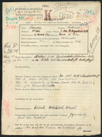 Applicant: Ständig, Salomon; born 12.11.1896 in Korniór Kl. (Poland); married.