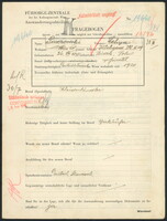 Applicant: Pinczowski, Schya; born 26.8.1898 in Bircza (Poland); married.
