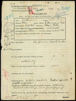 Applicant: Reinmann, Jakob Markus; born 5.9.1905 in Sokalʹ (Ukraine); married.