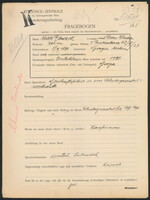 Applicant: Placzek, Max; born 8.10.1880 in Kyjov (Jihomoravský kraj, Czech Republic); married.