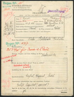 Applicant: Raab, Philipp; born 24.6.1889 in Topol̕čany (Slovakia); married.