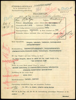 Applicant: Reitzes, Ludwig; born 14.7.1911 in Presov; single.