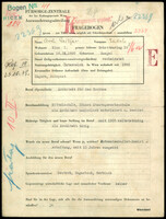 Applicant: Reitzer, Jakob; born 14.9.1880 in Szeged (Hungary); married.