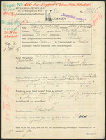 Applicant: Raubitschek, Siegfried; born 2.7.1887 in Vienna (Austria); married.