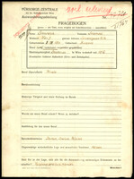 Applicant: Sinnreich, Scheindel; born 8.8.1884 in Buchach (Ukraine); married.