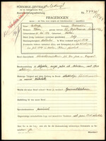 Applicant: Rottner, Breindel; born 22.5.1906 in Krakow; single.