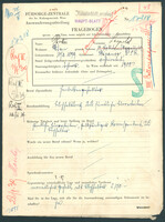 Applicant: Rotter, Leopold; born 10.2.1899 in Stepanoa; married.