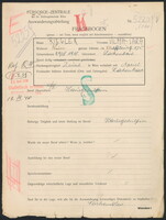 Applicant: Riegler, Vilma Sara; born 29.4.1918 in Lackenbach (Austria); single.