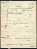 Applicant: Rittner, Pinkas; born 8.5.1890 in Pidhaitsi (Ukraine); married.