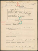 Applicant: Rohatyn, Naftali; born 18.6.1881 in Narajow (Ukraine); married.