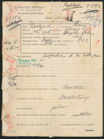 Applicant: Rokach, Chaim; born 27.2.1882 in Magierow (Ukraine); married.