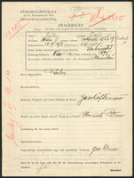Applicant: Roller, Wolf; born 28.9.1878 in Nizniów (Ukraine); married.