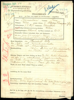 Applicant: Sommerstein, Sara; born 7.10.1873 in Chorostköw; widowed.