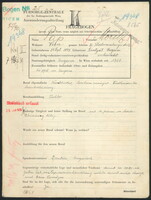 Applicant: Pap, Moritz; born 21.8.1887 in Szentgál (Hungary); married.