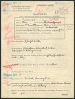 Applicant: Pasternak, Benedikt; born 15.6.1889 in Vienna (Austria); married.