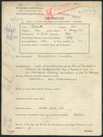 Applicant: Perlmutter, Sosie; born 10.12.1919 in Vienna (Austria); single.