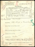 Applicant: Reifmann, Fanny; born 29.9.1890 in Ústí nad Labem (Czech Republic); married.