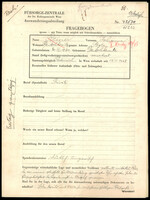 Applicant: Reiner, Johanna; born 30.3.1860 in Deutschkreutz (Austria); widowed.